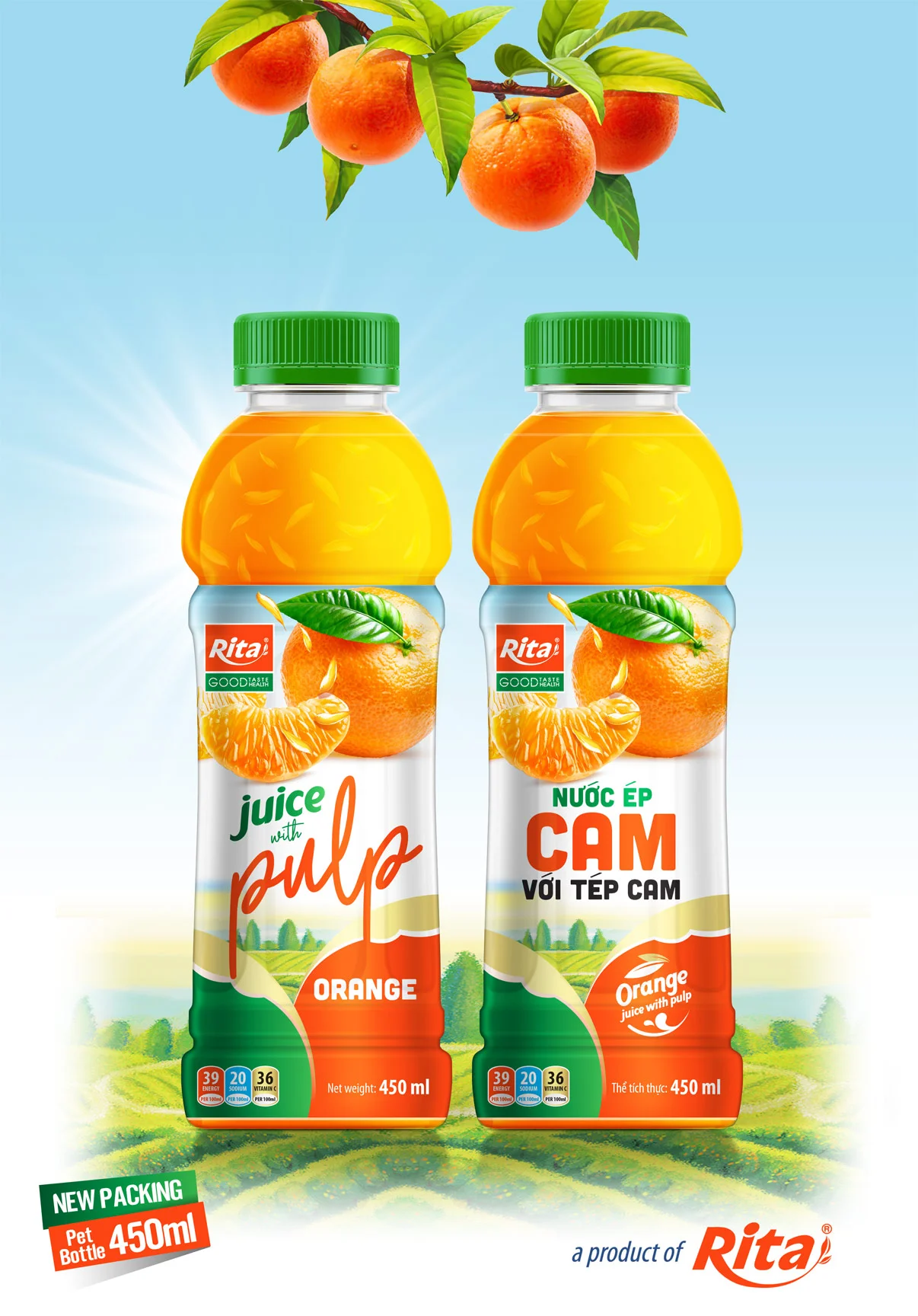 Fruit Juice Orange juice with Pulp 450ml