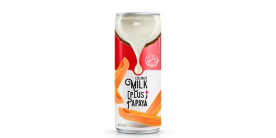 Coco milk plus chocolate flavour 250ml from RITA India