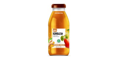 Kombucha have ginger and pear 250ml from RITA India